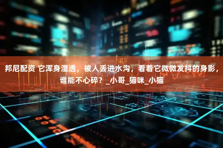邦尼配资 它浑身湿透，被人丢进水沟，看着它微微发抖的身影，谁能不心碎？_小哥_猫咪_小猫