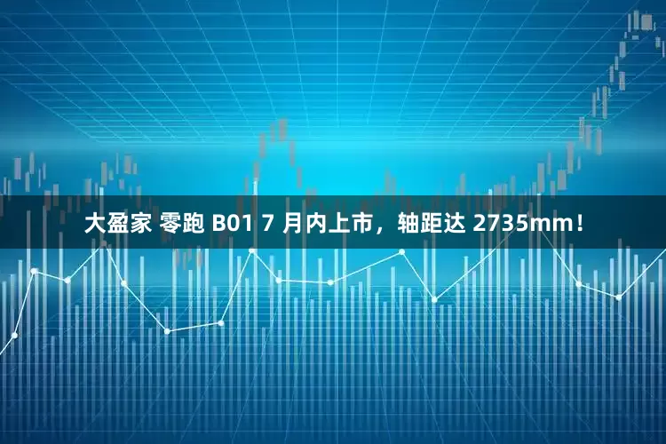 大盈家 零跑 B01 7 月内上市，轴距达 2735mm！