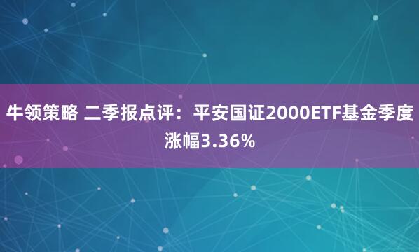 牛领策略 二季报点评：平安国证2000ETF基金季度涨幅3.36%