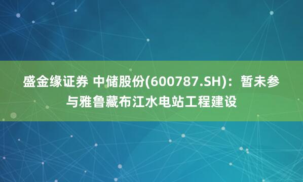 盛金缘证券 中储股份(600787.SH)：暂未参与雅鲁藏布江水电站工程建设