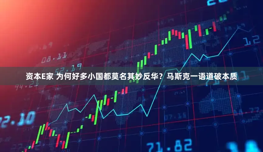 资本E家 为何好多小国都莫名其妙反华？马斯克一语道破本质