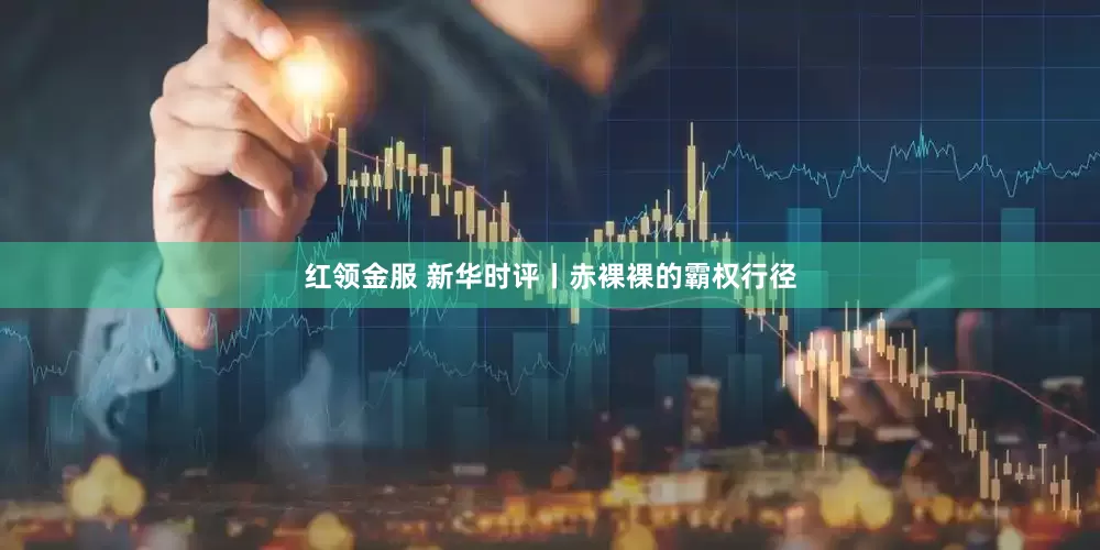 红领金服 新华时评丨赤裸裸的霸权行径