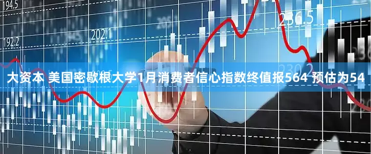 大资本 美国密歇根大学1月消费者信心指数终值报564 预估为54