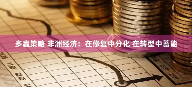 多赢策略 非洲经济:在修复中分化 在转型中蓄能