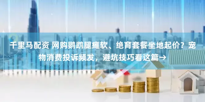 千里马配资 网购鹦鹉腿瘫软、绝育套餐坐地起价？宠物消费投诉频发，避坑技巧看这篇→